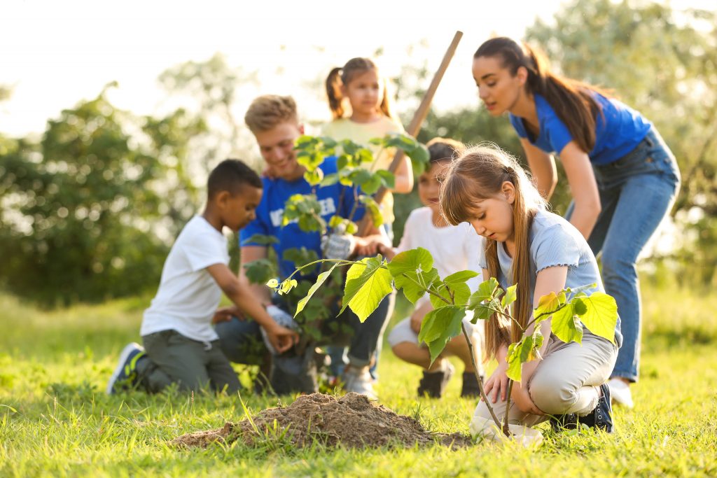 Kristall-Klar-Freiwillige pflanzen Bäume mit Kindern